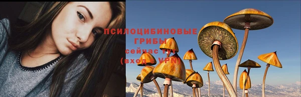 прущая мука Балахна