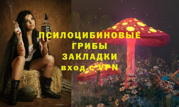 ALPHA PVP Баксан